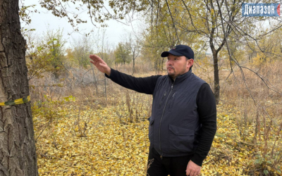 В центральном парке Актобе считают деревья
