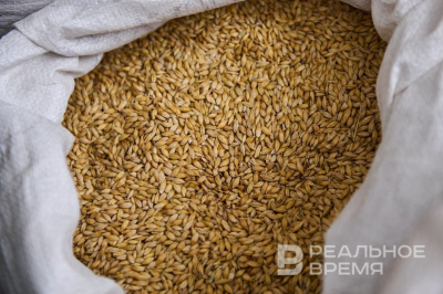 Пшеница и ячмень подешевели на 8&ndash;14,5% за три недели