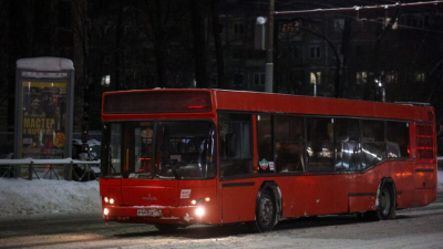 Бесплатный проезд для всех детей в общественном транспорте предлагают сделать по всей стране 12/02/2026 &ndash; Новости