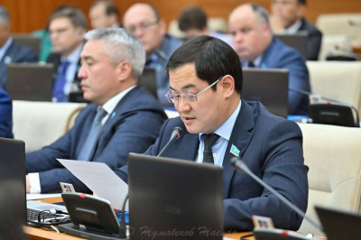 Национальный спорт: скрытый миллиардный ресурс Казахстана