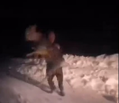 В Свердловской области сын замглавы администрации жестоко издевался над детёнышем косули