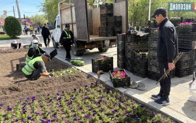 На цветы и газоны выделили 757 млн тенге