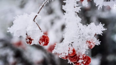 Когда в Казань вернется жара - рассказываем 27/01/2026 &ndash; Новости