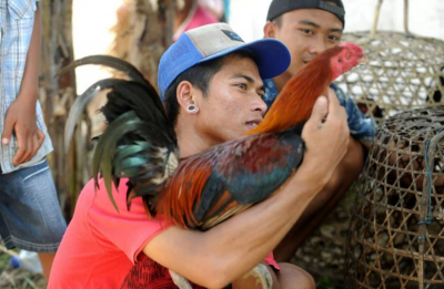 Петух зарезал мужчину лезвием