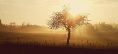 Штормовое предупреждение объявили в регионах Казахстана