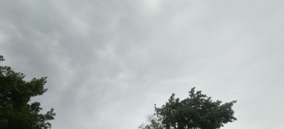 Грозы и сильные дожди прогнозируют синоптики в нескольких регионах Казахстана