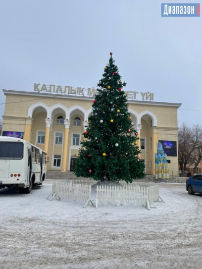Народный репортер. Новогодняя елка радует жителей Жилгородка
