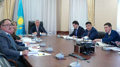 Казахстан запускает 202 инвестпроекта для снижения импортозависимости в сфере АПК