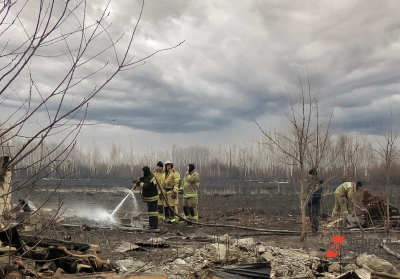 Первые ландшафтные пожары зафиксировали в Тюменской области: два очага