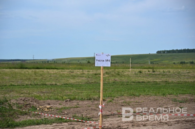 Госсовет Татарстана поддержал бесплатное предоставление участков обладательницам звания &laquo;Мать-героиня&raquo;