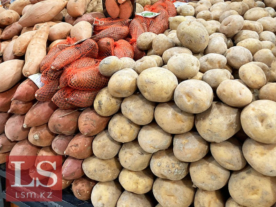 Полгода под запретом: чем обернулось ограничение на вывоз картофеля. Инфографика