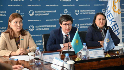 Предприниматели Шымкента предложили освободить соцучреждения от НДС