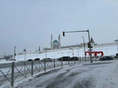 В Татарстане начали профилактику &laquo;мышиной лихорадки&raquo;
