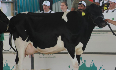 От еще одной фермы в Татарстане потребовали обустроить санитарную зону