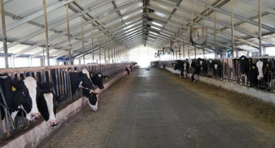 И себе, и на экспорт