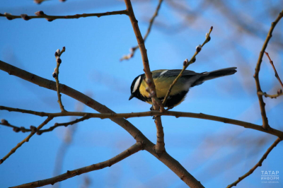 В Казани побит температурный рекорд, достигнутый в 2020 году