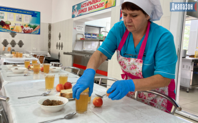 Конина и жент появятся в меню казахстанских школьников