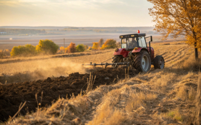 Пастбища восстанавливают в Актюбинской области
