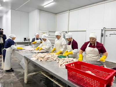 Рыбоперерабатывающий завод запустили в Кызылординской области