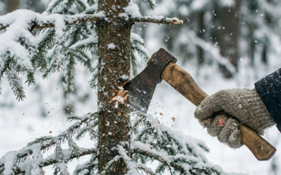 Срубил ёлку &ndash; заплатил штраф 393 200 тенге