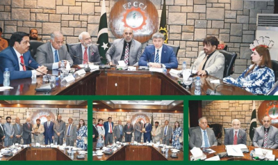 Казахстан и Пакистан договорились активизировать деловое взаимодействие