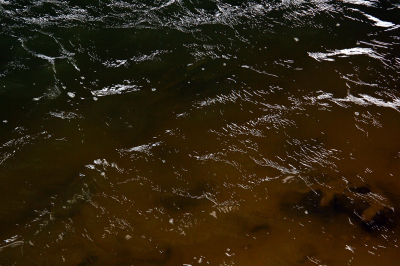 Арыки возвращаются