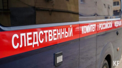 В Татарстане возбуждено дело против пьяного водителя, который покусал инспектора ДПС 11/08/2026 &ndash; Новости