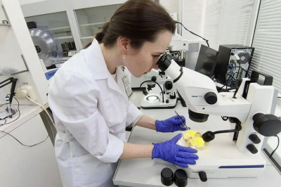 В РТ подтвердили фитосанитарную безопасность партии цветков бессмертника песчаного